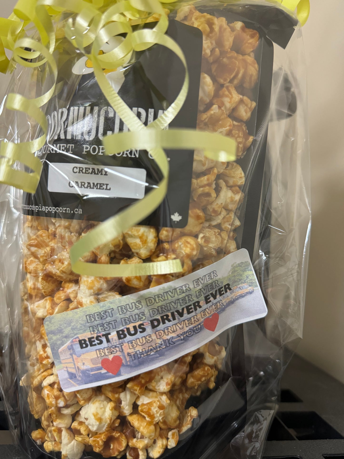 Bus Driver Appreciation Gift