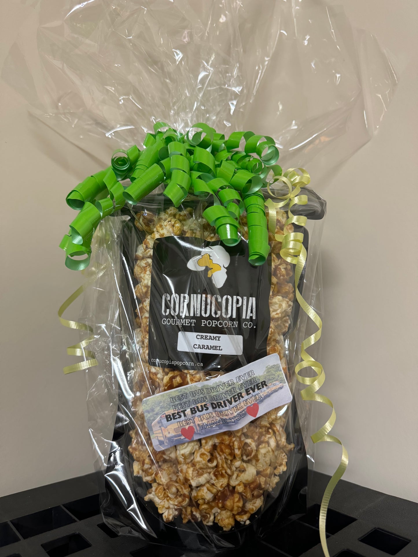 Bus Driver Appreciation Gift