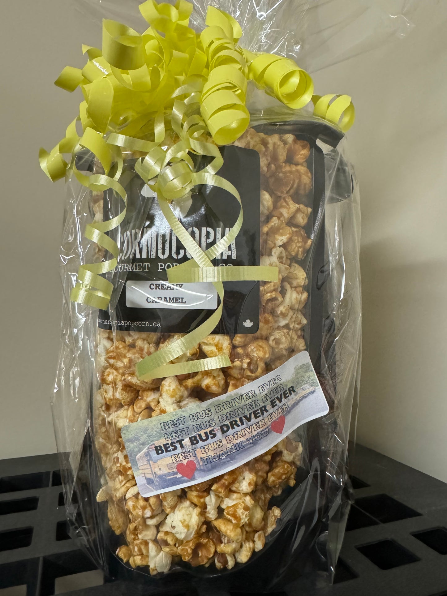 Bus Driver Appreciation Gift